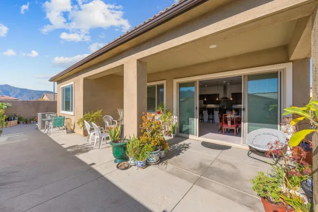 a view of a garden with flower plants