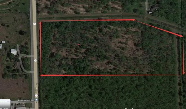 a view of a forest