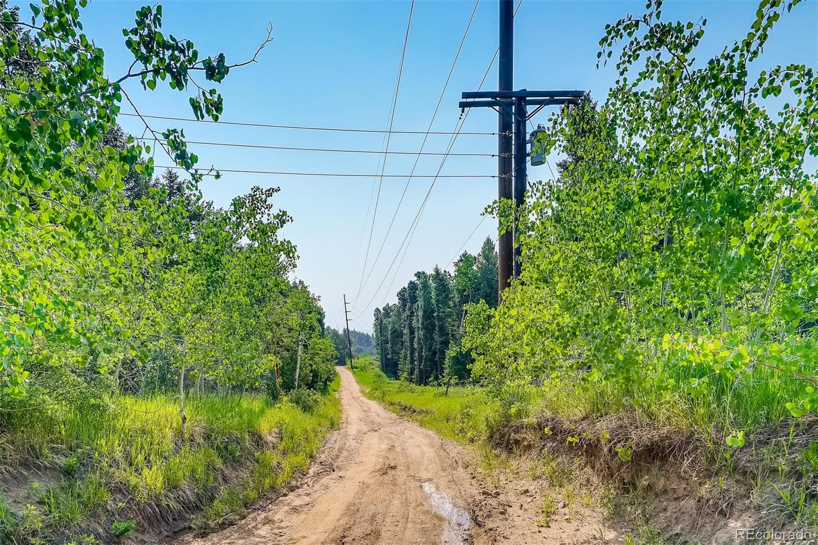 8939 South Hillview Road Morrison, CO 80465 - Photo 12 of 39 a view of a backyard