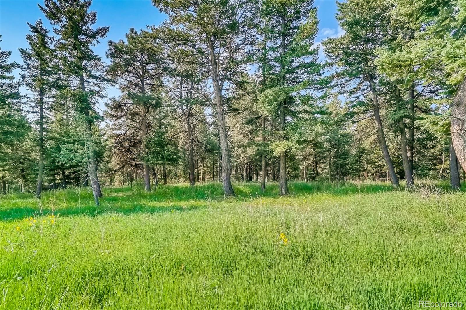8939 South Hillview Road Morrison, CO 80465 - Photo 13 of 39 a view of a big yard with a trees