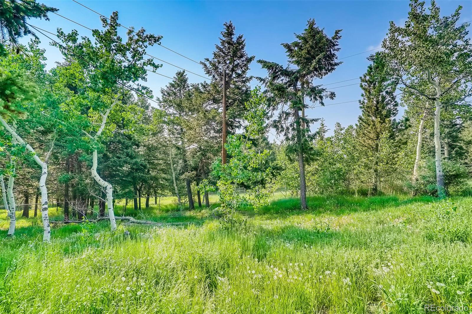 8939 South Hillview Road Morrison, CO 80465 - Photo 15 of 39 a green field with lots of trees in it