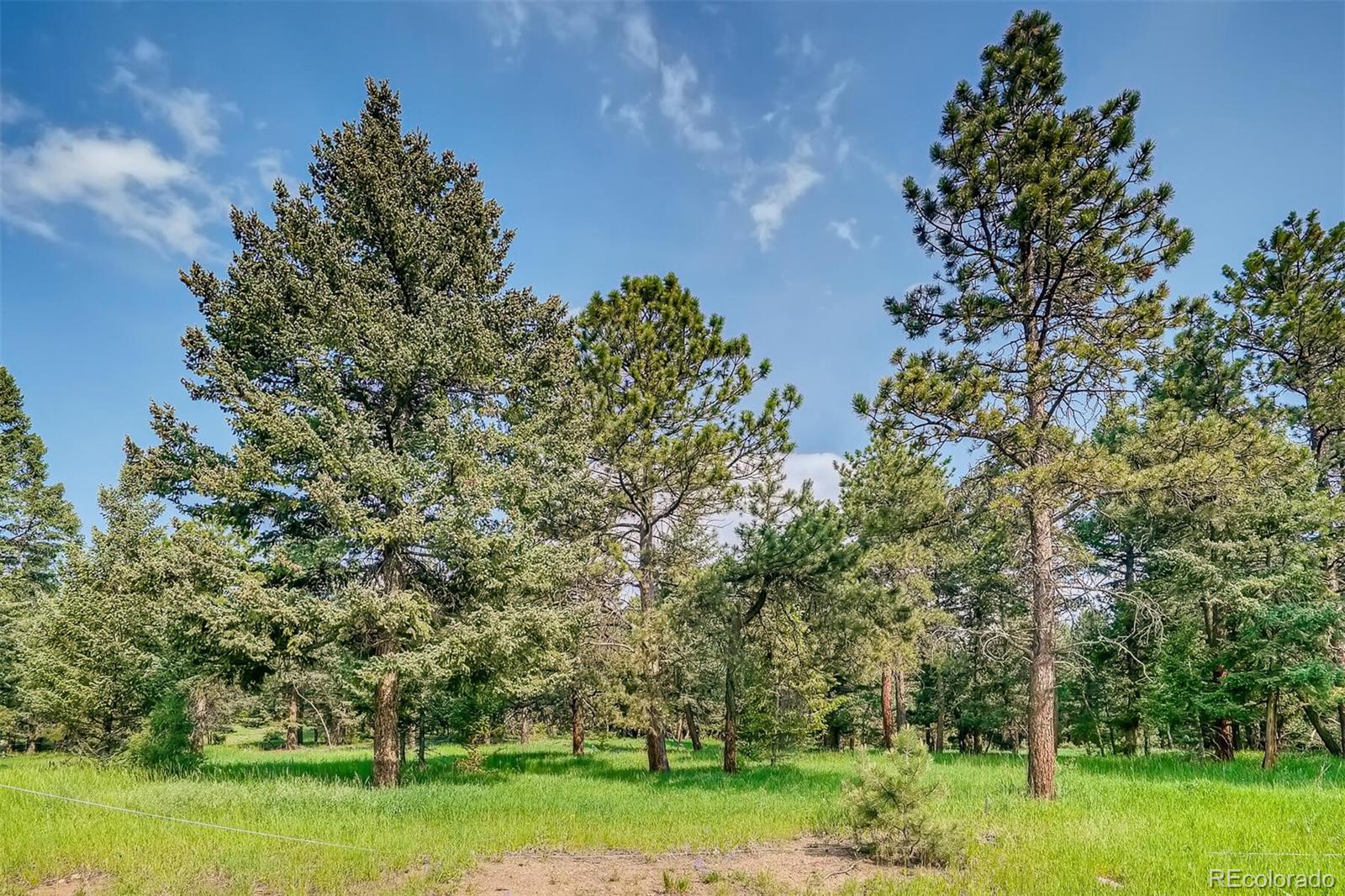 8939 South Hillview Road Morrison, CO 80465 - Photo 17 of 39 a view of a lush green space