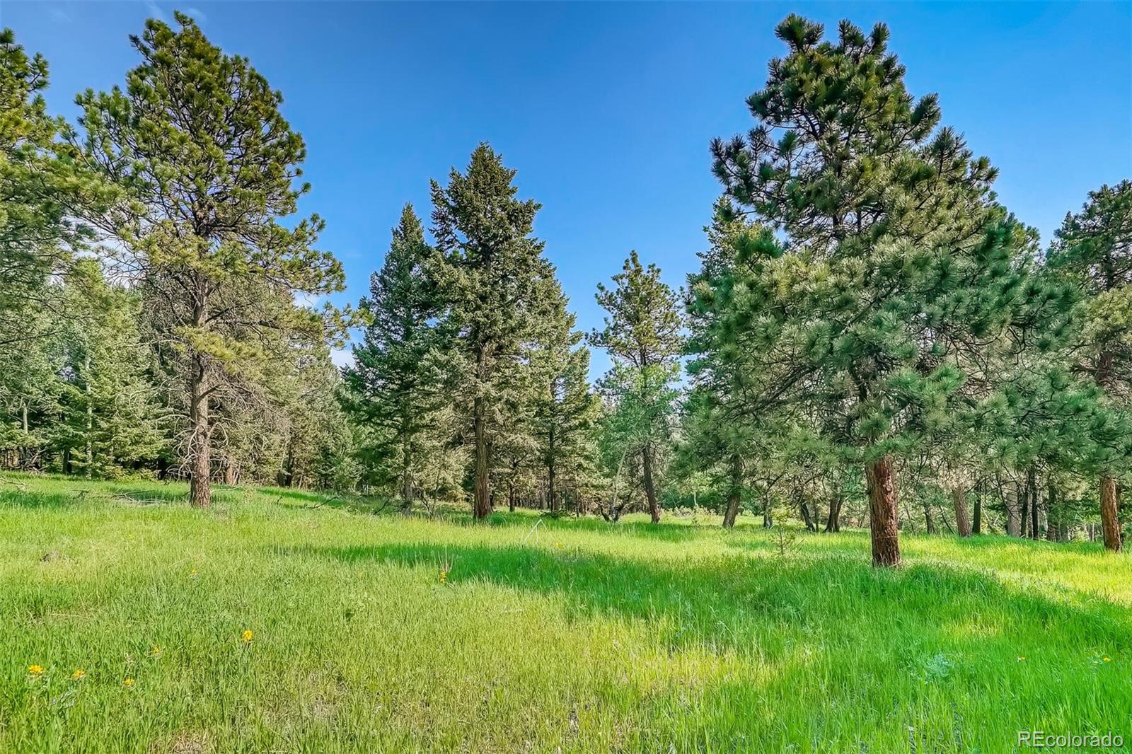 8939 South Hillview Road Morrison, CO 80465 - Photo 19 of 39 a view of green field with trees in the background