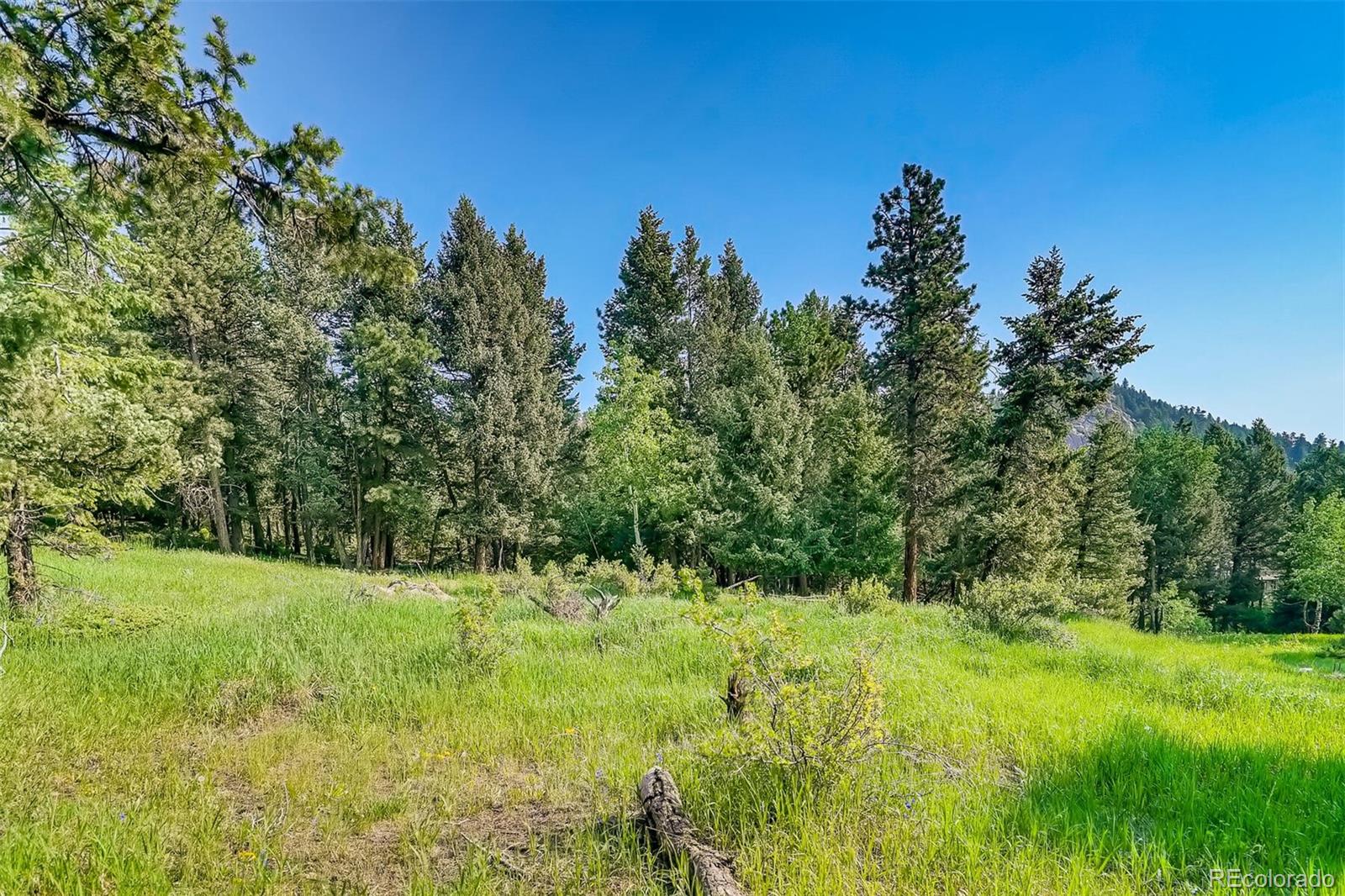 8939 South Hillview Road Morrison, CO 80465 - Photo 20 of 39 a view of a field with a tree in the background