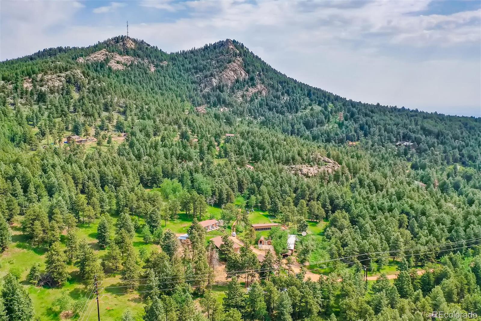 8939 South Hillview Road Morrison, CO 80465 - Photo 2 of 39 a view of a lush green forest with trees in the background