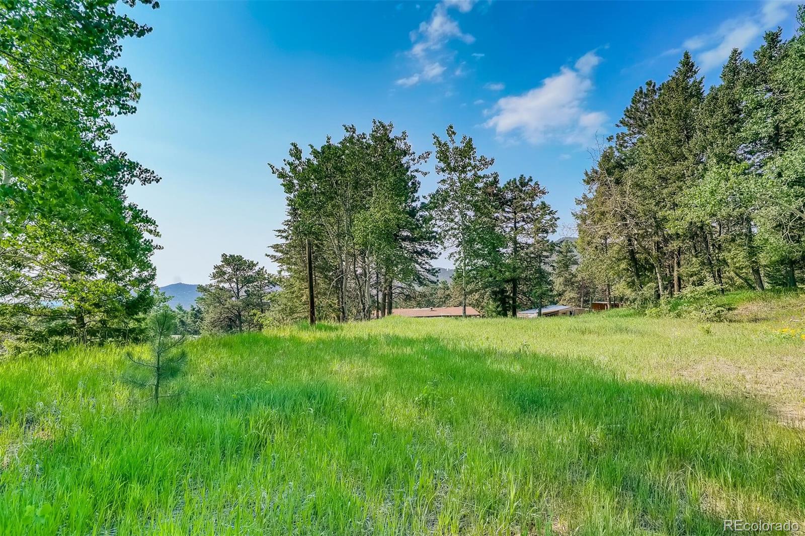 8939 South Hillview Road Morrison, CO 80465 - Photo 21 of 39 a view of yard with green space
