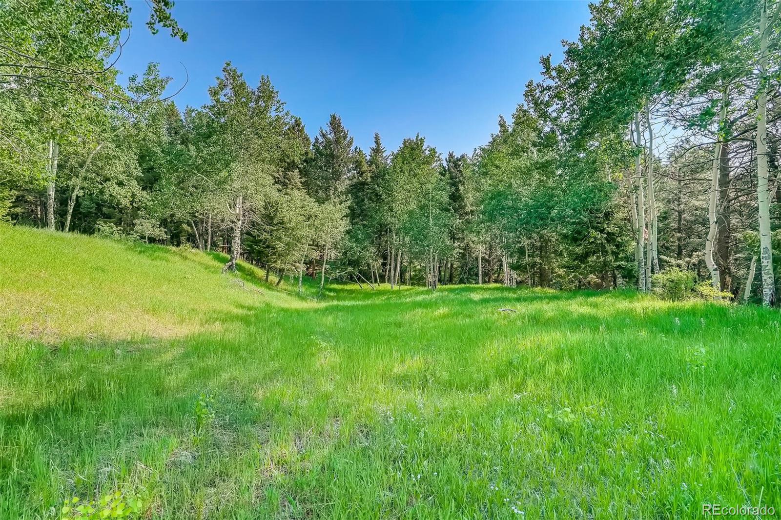 8939 South Hillview Road Morrison, CO 80465 - Photo 23 of 39 a view of green field with trees in the background