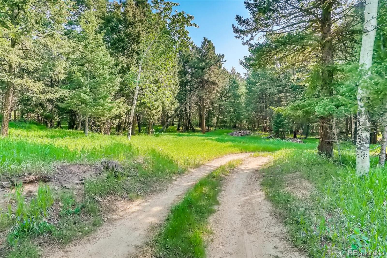 8939 South Hillview Road Morrison, CO 80465 - Photo 25 of 39 a view of a park with large trees