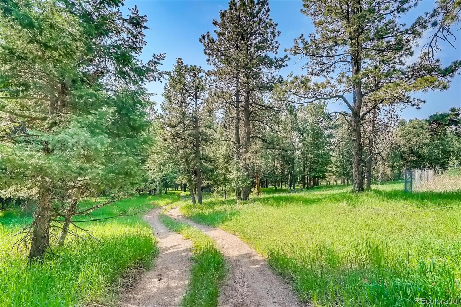 8939 South Hillview Road Morrison, CO 80465 - Photo 28 of 39 a view of a lake with a big yard