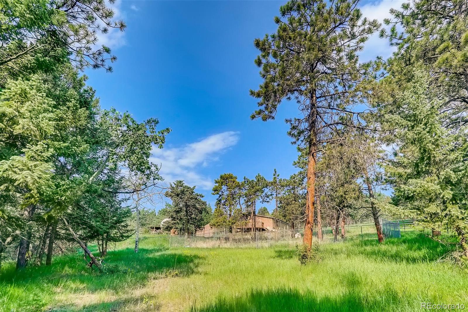 8939 South Hillview Road Morrison, CO 80465 - Photo 29 of 39 a view of garden