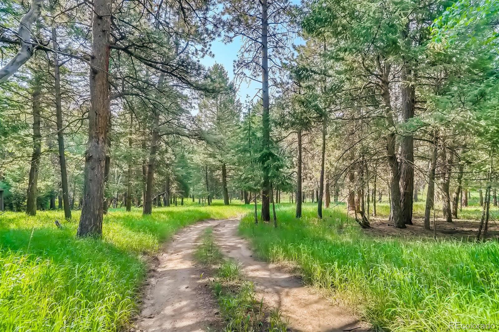 8939 South Hillview Road Morrison, CO 80465 - Photo 30 of 39 a view of park with trees