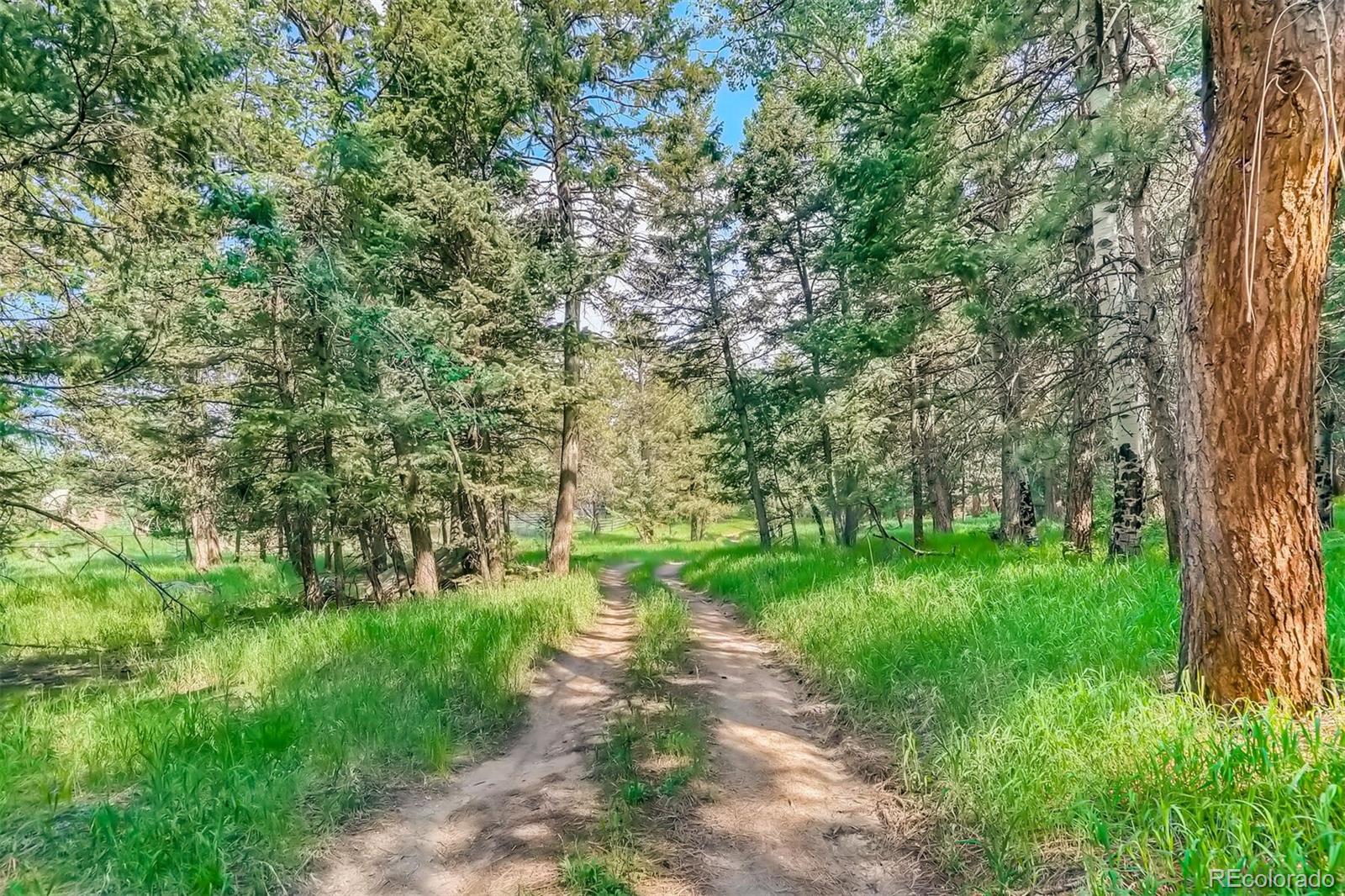 8939 South Hillview Road Morrison, CO 80465 - Photo 31 of 39 a big yard with lots of green space and trees