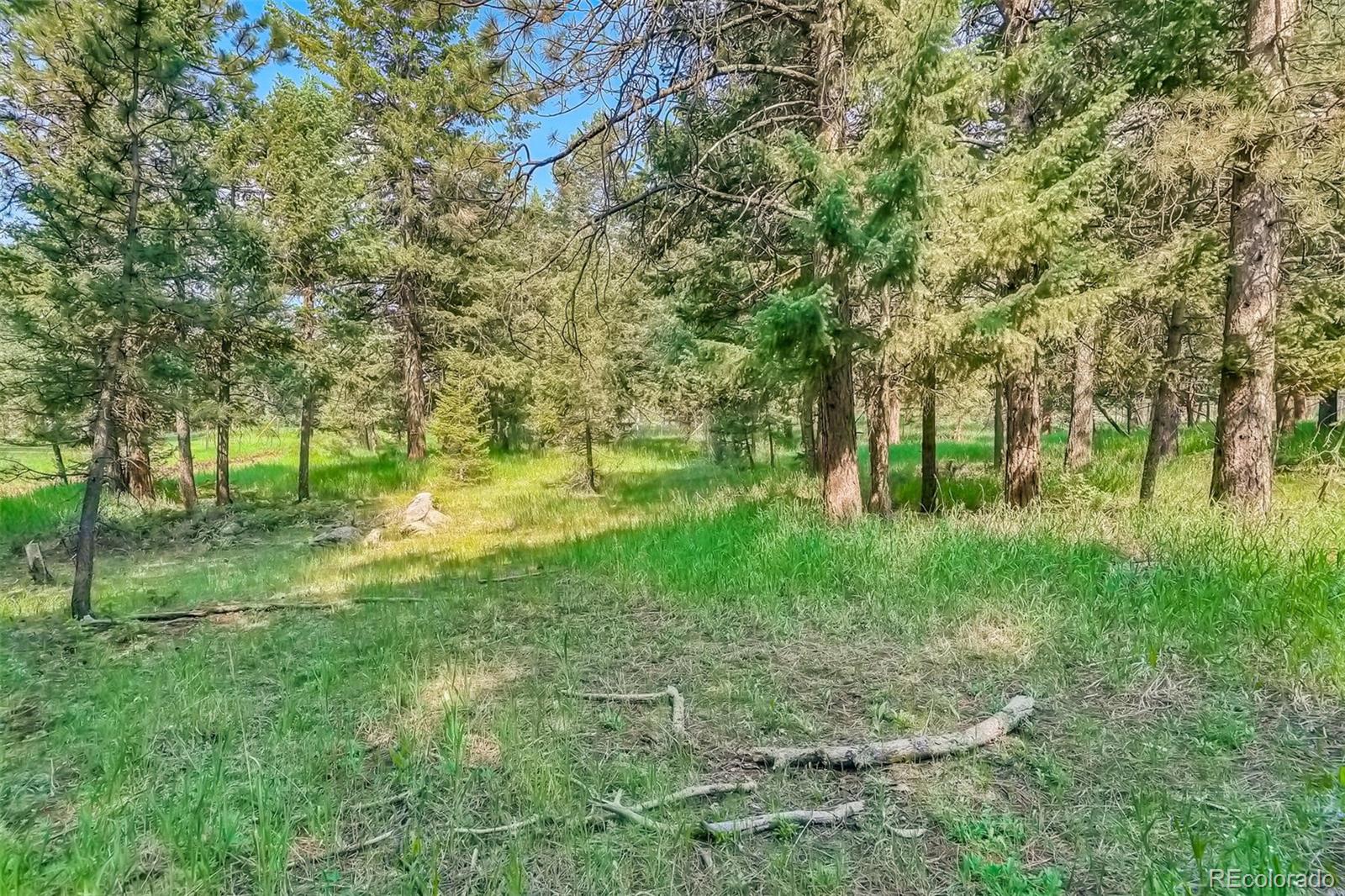 8939 South Hillview Road Morrison, CO 80465 - Photo 32 of 39 a view of outdoor space and yard