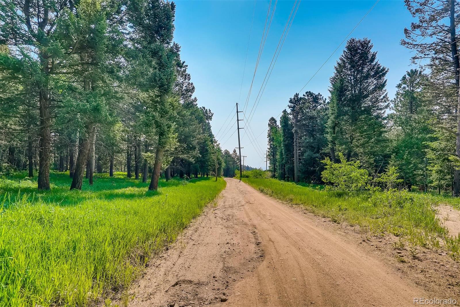 8939 South Hillview Road Morrison, CO 80465 - Photo 34 of 39 a view of a park with large trees