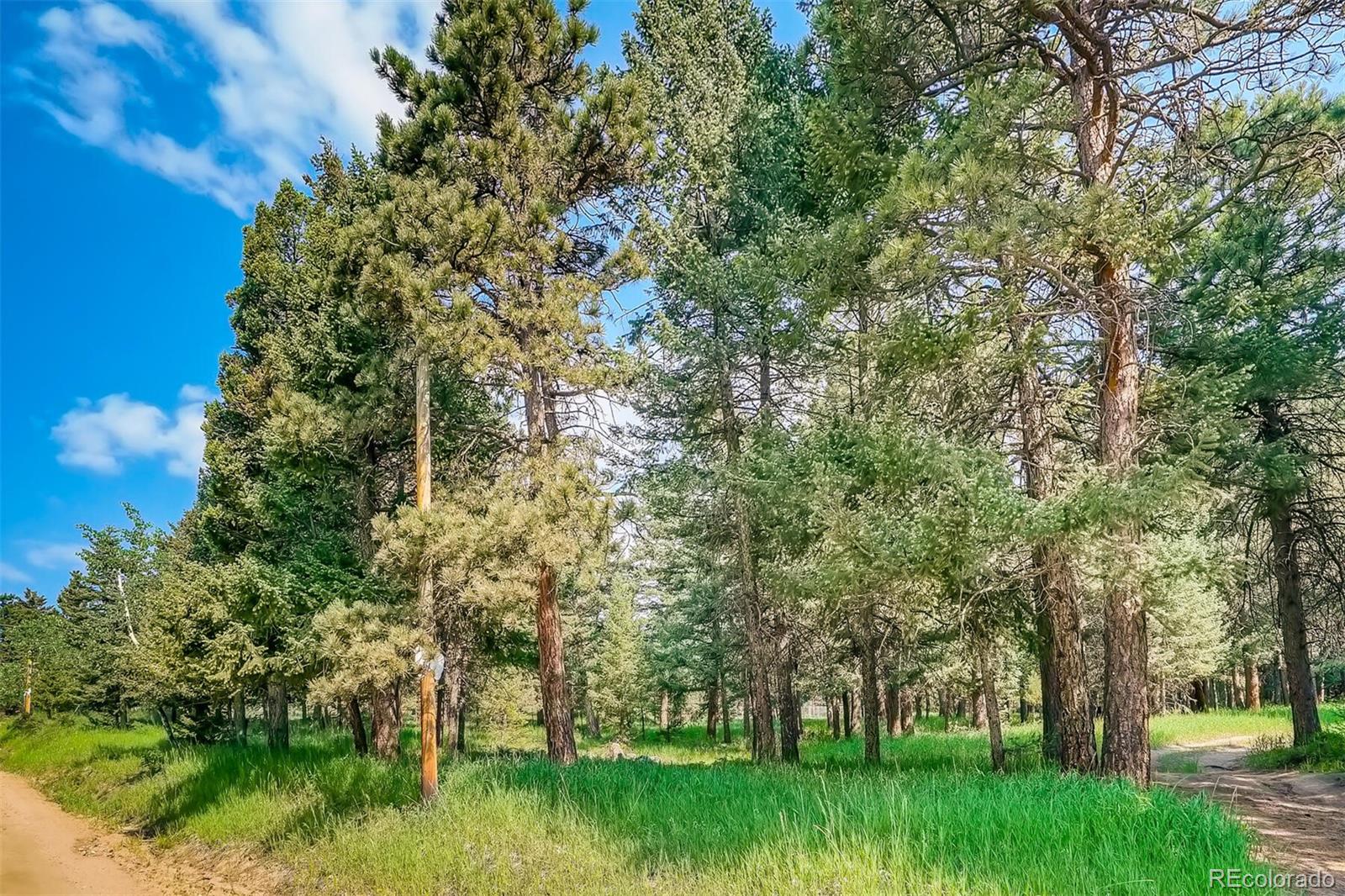 8939 South Hillview Road Morrison, CO 80465 - Photo 35 of 39 a view of backyard with green space