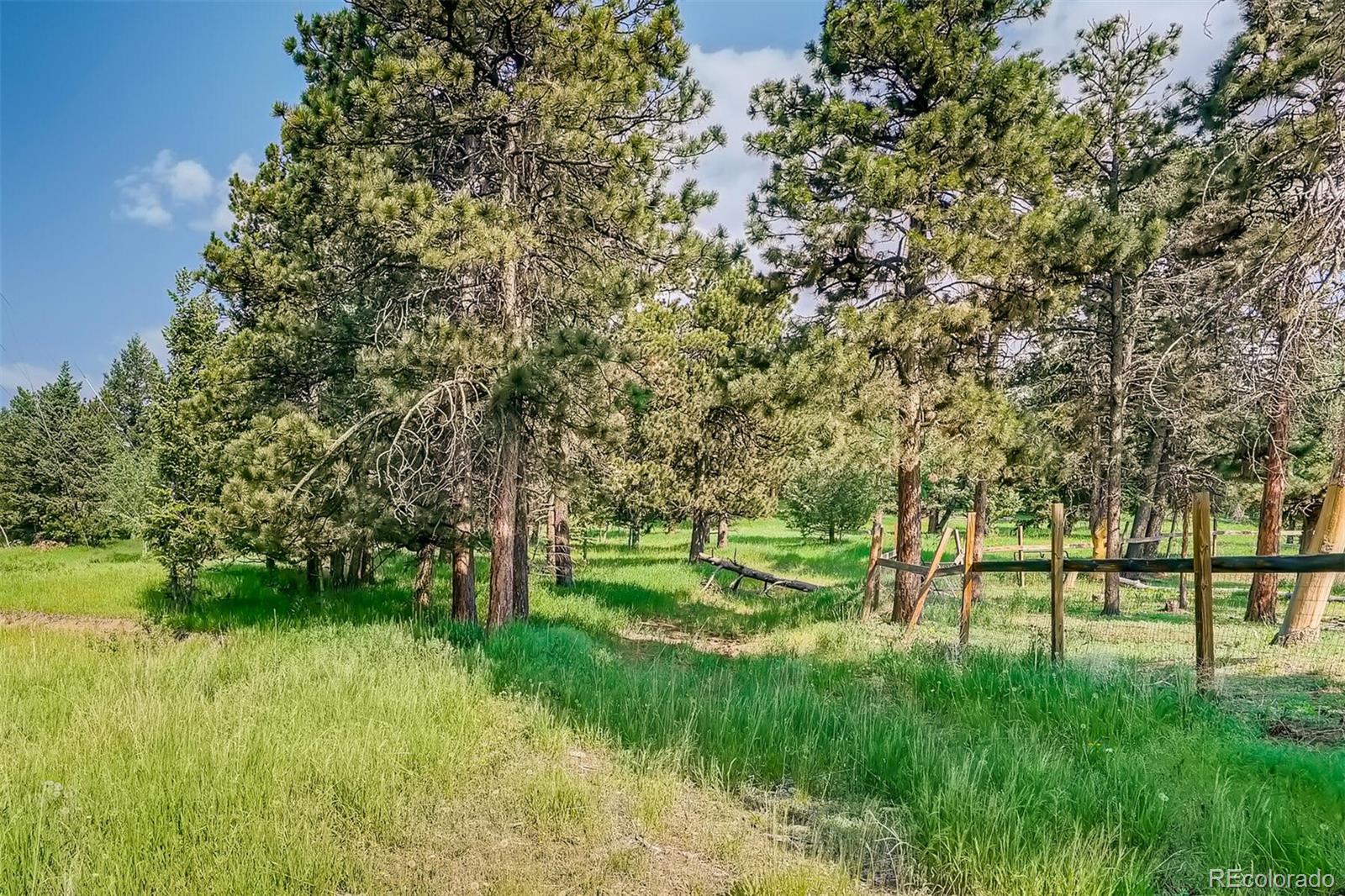 8939 South Hillview Road Morrison, CO 80465 - Photo 36 of 39 a view of park space with a large tree