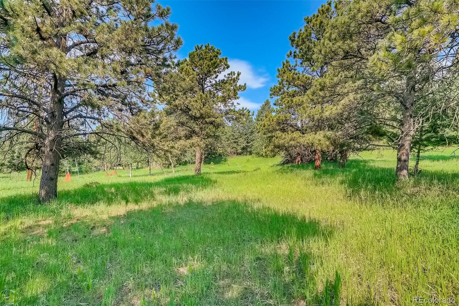 8939 South Hillview Road Morrison, CO 80465 - Photo 38 of 39 a view of green field with a tree