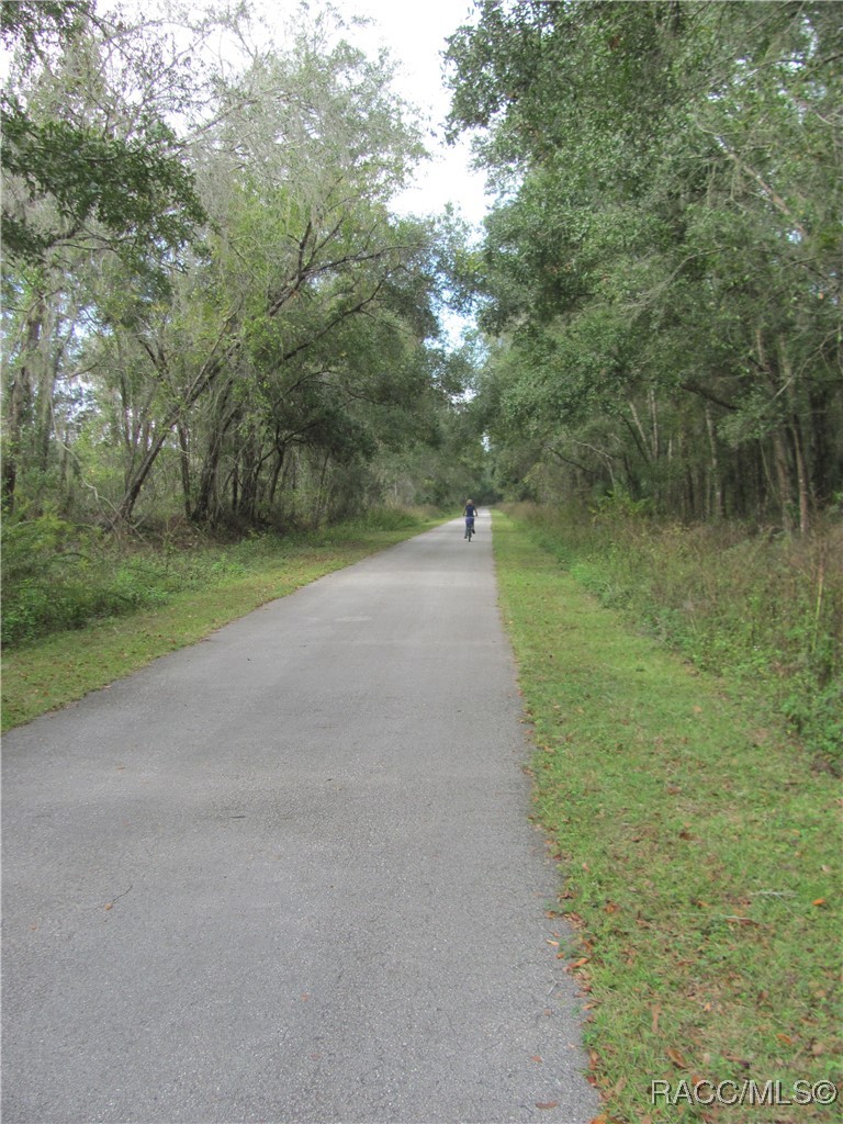 2001 Highway 41 Inverness, FL 34453 - Photo 6 of 9