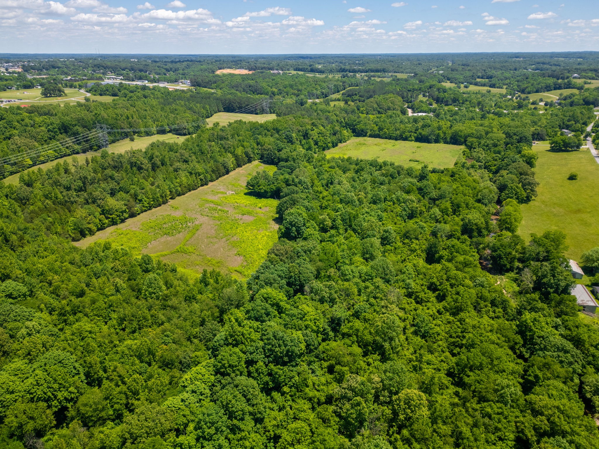 70 R A R A Benton Lane Springfield, TN 37172 - Photo 7 of 10 a view of a lush green field with lots of plants in it