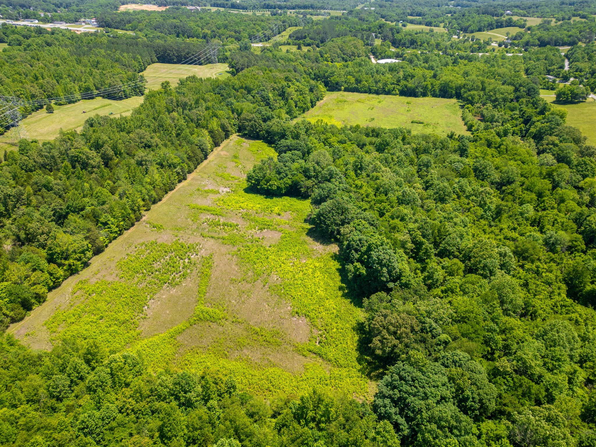70 R A R A Benton Lane Springfield, TN 37172 - Photo 8 of 10 a view of a large yard with large trees