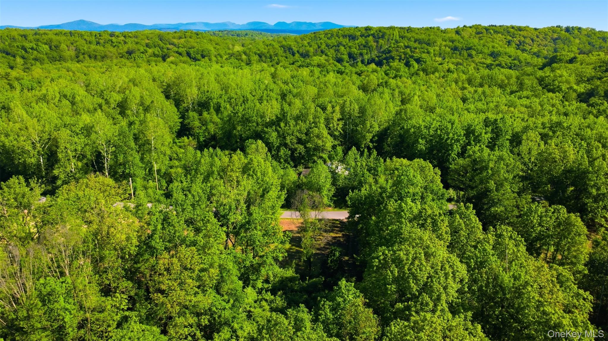 238 Bruceville Road High Falls, NY 12440 - Photo 5 of 15
