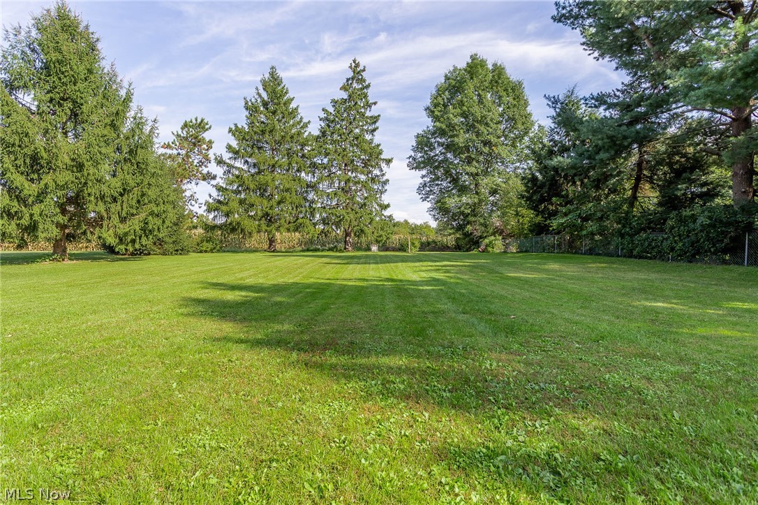 8495 Avon Belden Road North Ridgeville, OH 44039 - Photo 3 of 29