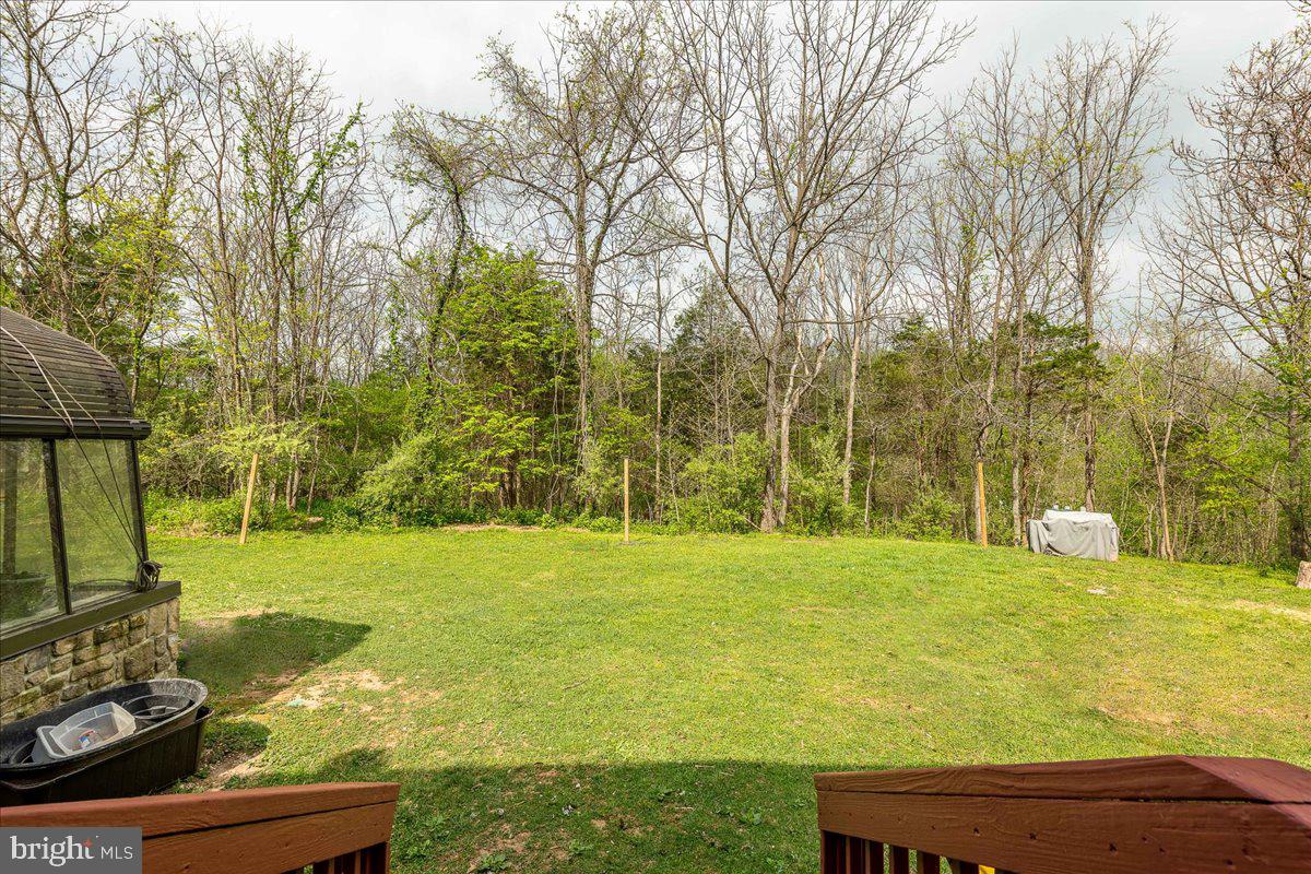 271 Comstock Drive Shepherdstown, WV 25443 - Photo 39 of 76 View of rear yard