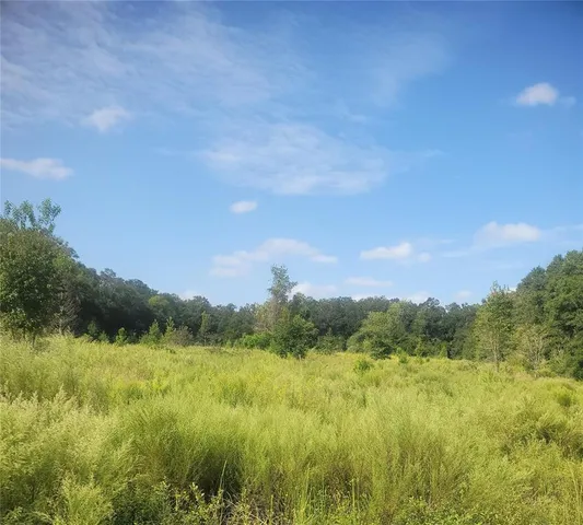 a view of a field with an ocean