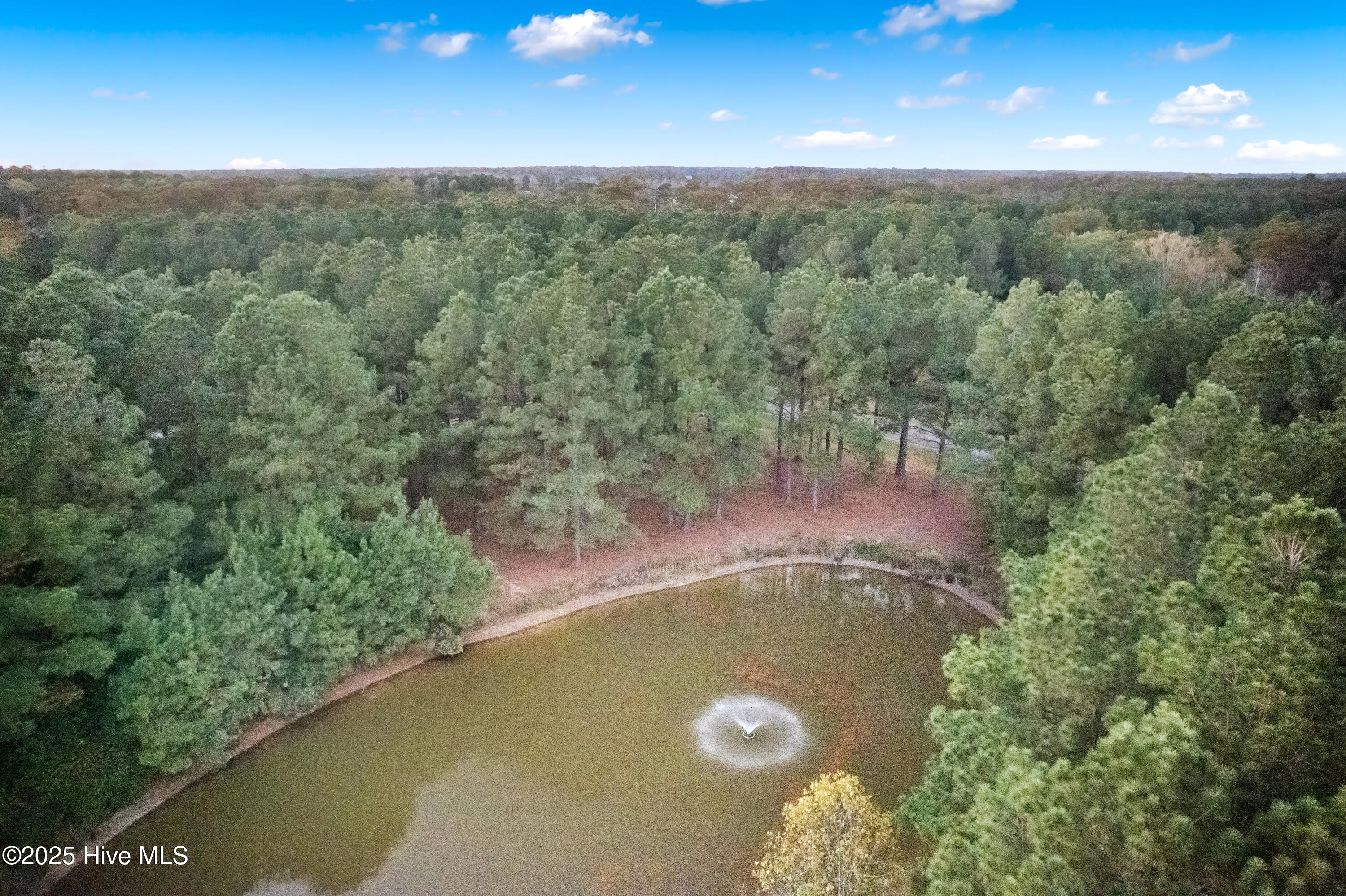 223 Plumtree Circle Edenton, NC 27932 - Photo 2 of 11 plumtree-10