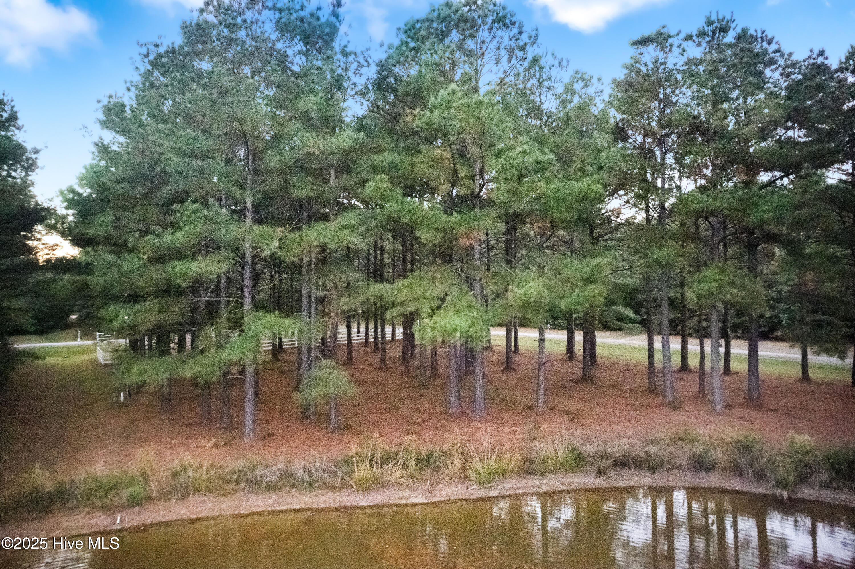 223 Plumtree Circle Edenton, NC 27932 - Photo 3 of 11 plumtree-11