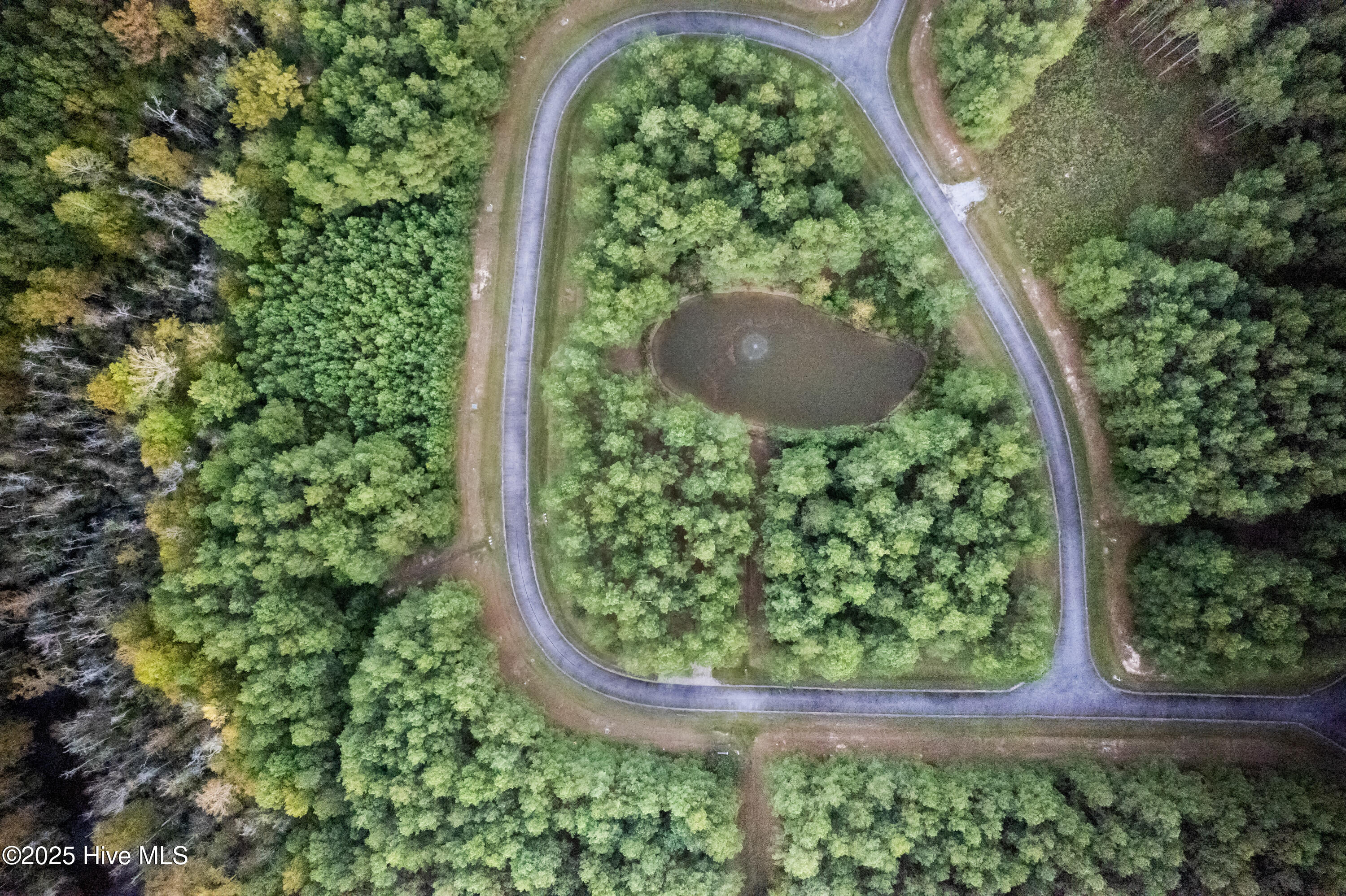 223 Plumtree Circle Edenton, NC 27932 - Photo 6 of 11 plumtree-1