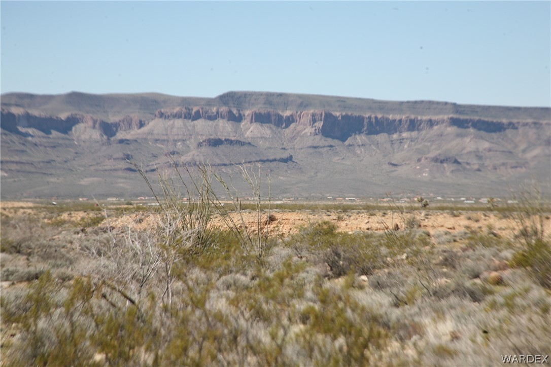 208-24-134 Cameron Road Yucca, AZ 86438 - Photo 69 of 86