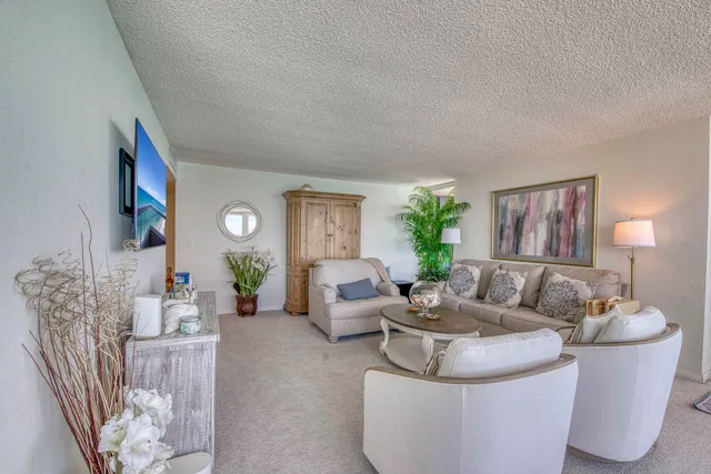 a living room with furniture and a potted plant