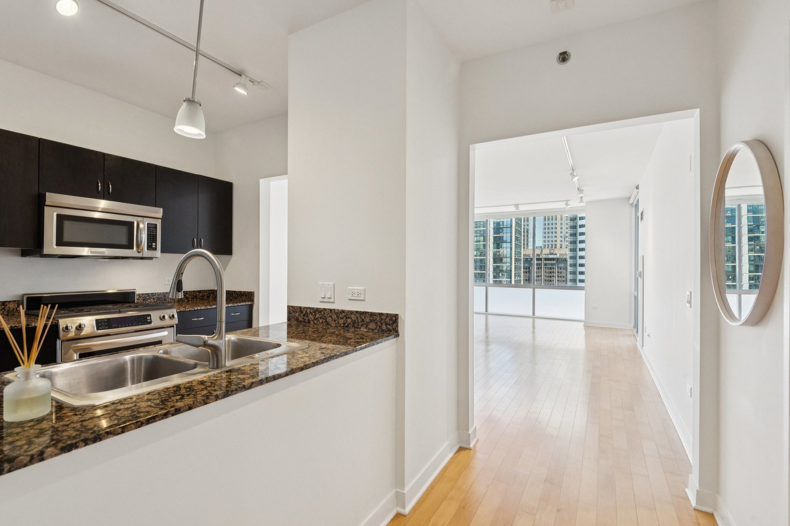 8 East Randolph Street, Unit 3102 Chicago, IL 60601 - Photo 3 of 20