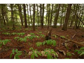 Lot 36 Weir Pond Road Lee, ME 04455 - Photo 2 of 7 Land 1