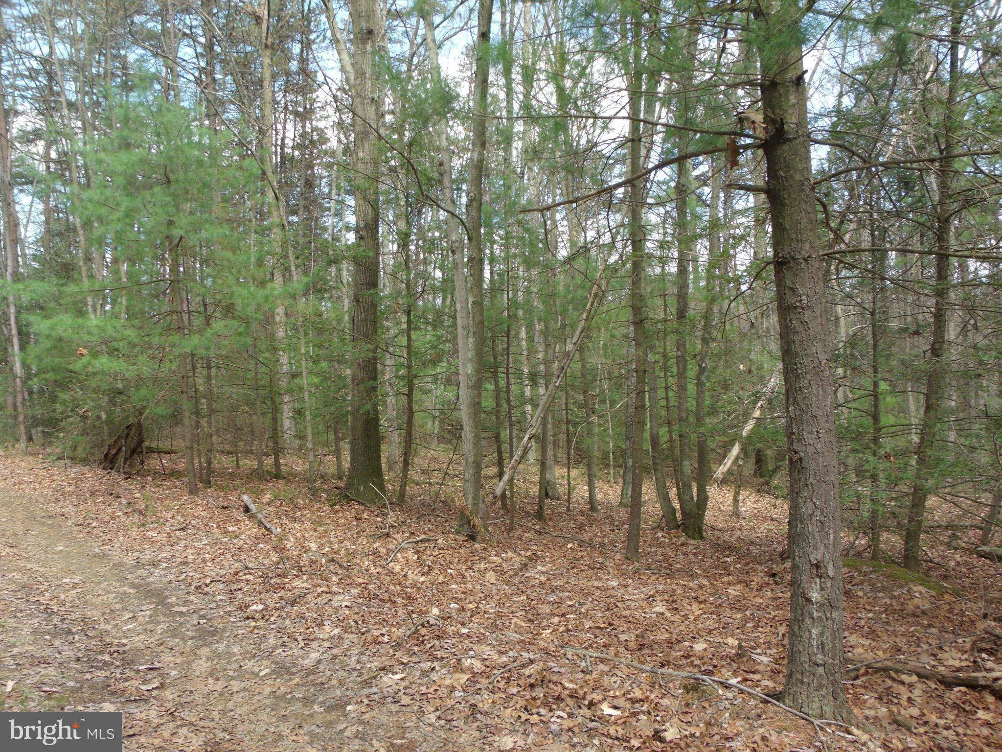 1703 Peach Ridge Road Elliottsburg, PA 17024 - Photo 1 of 16 Gallery Image 1