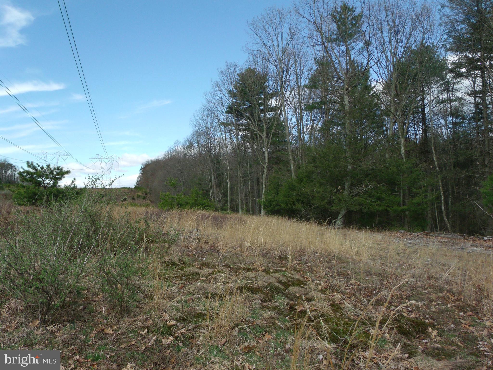 1703 Peach Ridge Road Elliottsburg, PA 17024 - Photo 11 of 16 Gallery Image 11
