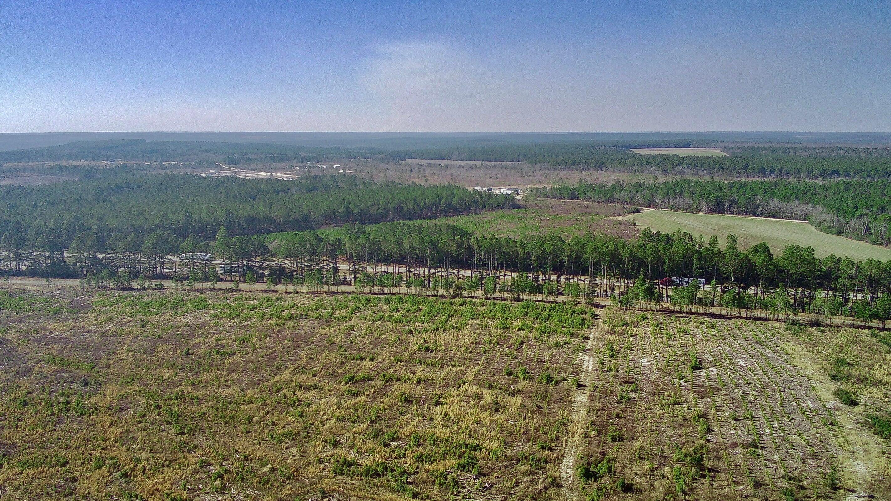 Three Notch Road Batesburg, SC 29006 - Photo 1 of 6