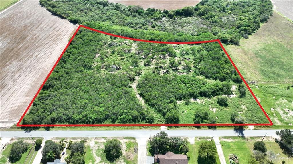20250 Morris Road Harlingen, TX 78552 - Photo 2 of 10 a view of green field with flowers and plants