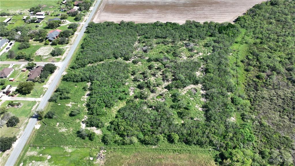 20250 Morris Road Harlingen, TX 78552 - Photo 4 of 10 a view of a lush green forest with lots of trees