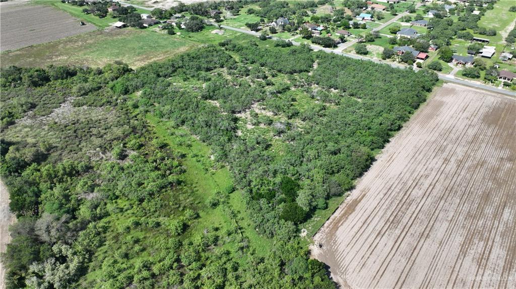 20250 Morris Road Harlingen, TX 78552 - Photo 8 of 10 a view of a garden with a pathway