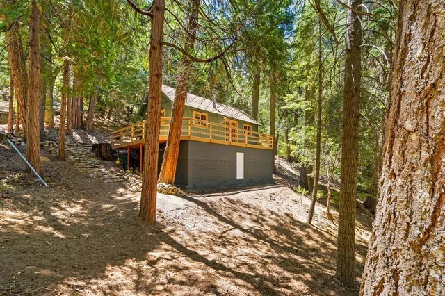 a view of a yard with trees