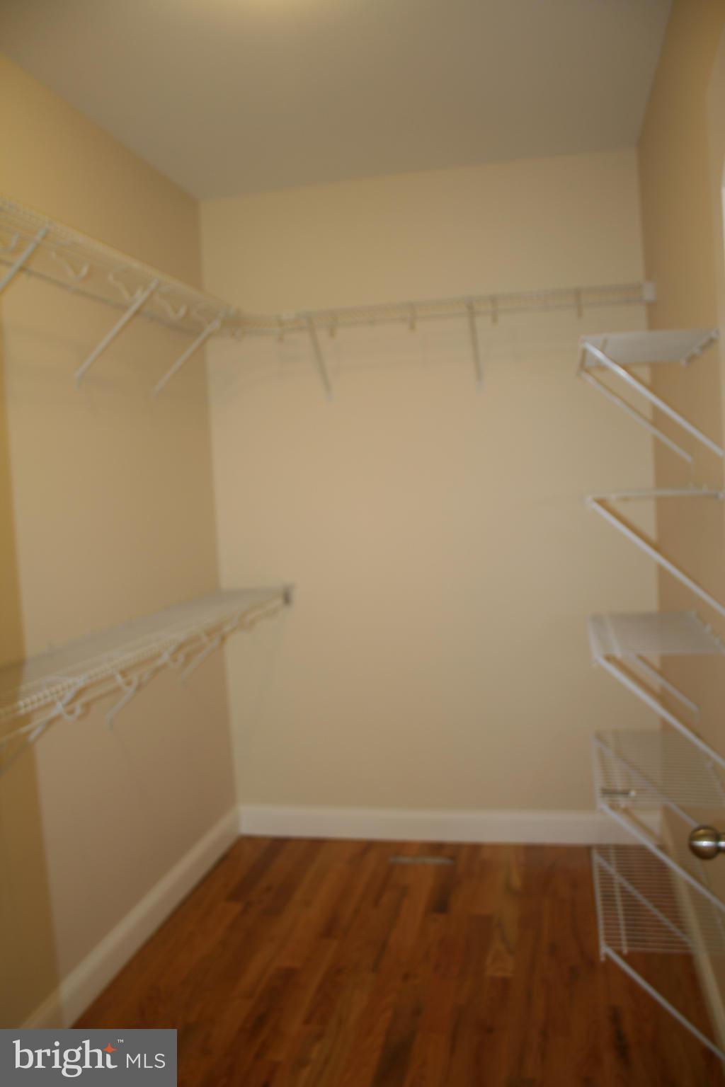 3203 Back Mountain Road Winchester, VA 22602 - Photo 16 of 30 Bedroom (Master)