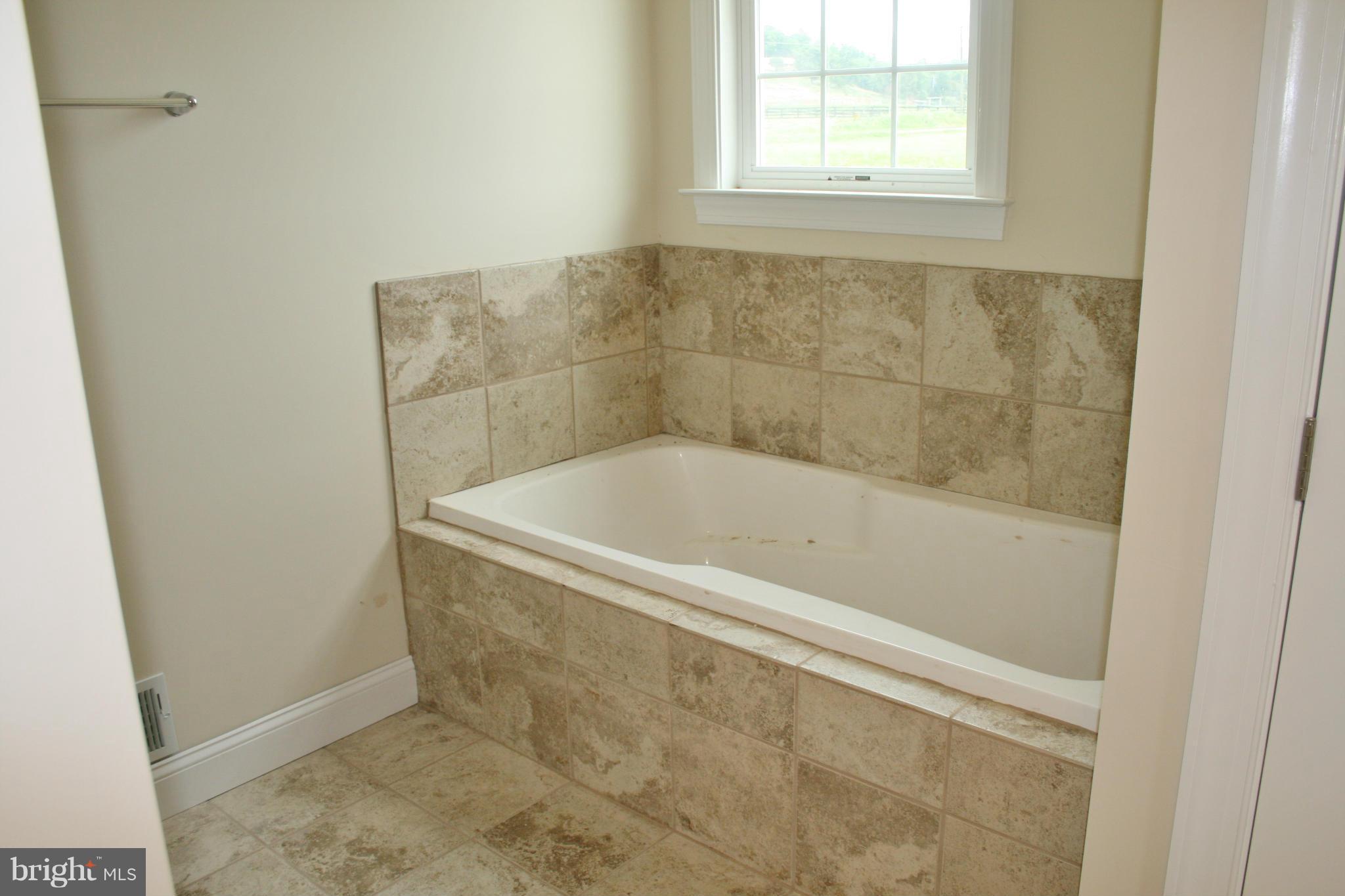 3203 Back Mountain Road Winchester, VA 22602 - Photo 17 of 30 Bath (Master)