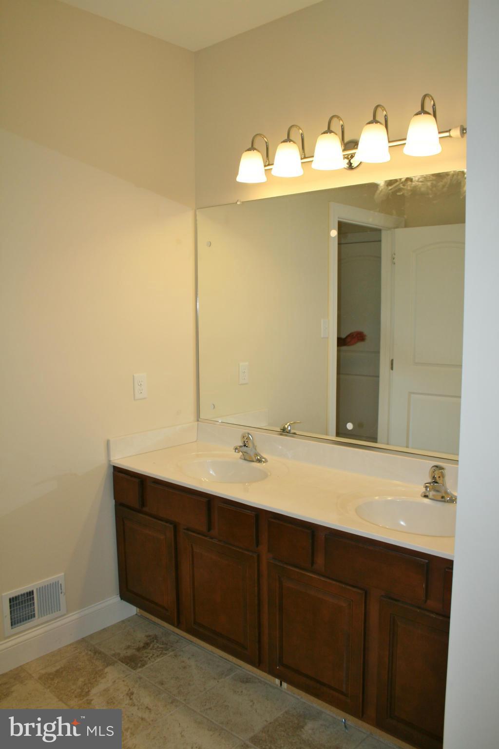 3203 Back Mountain Road Winchester, VA 22602 - Photo 19 of 30 Bath (Master)