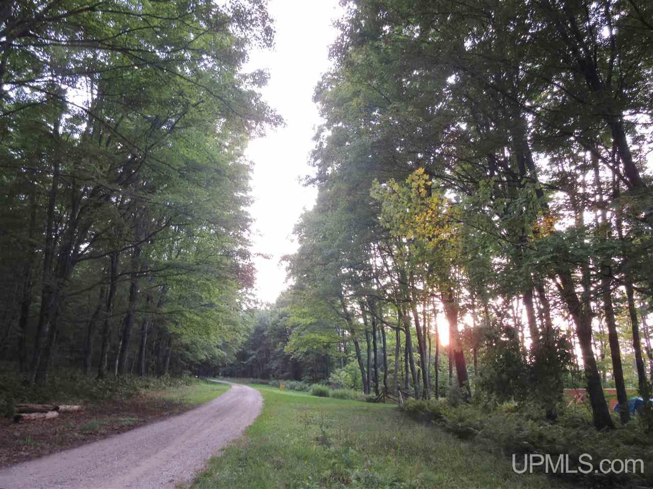 Tbd North Needle Pointe Road, Unit LOT 3 Germfask, MI 49836 - Photo 13 of 13