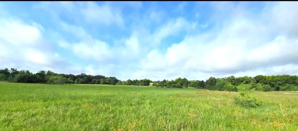 Tbd George Wachel Road Bremond, TX 76629 - Photo 3 of 8 a view of grassy field with trees in background