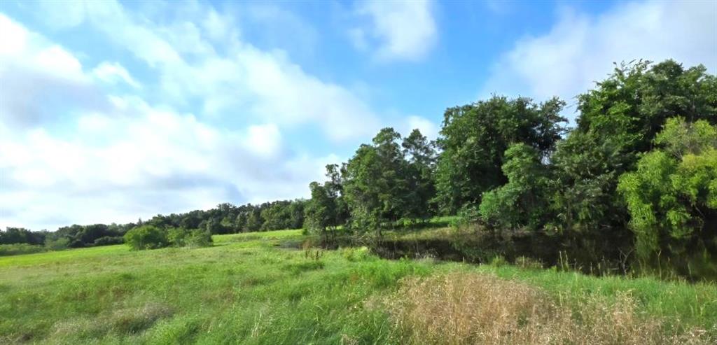 Tbd George Wachel Road Bremond, TX 76629 - Photo 4 of 8 a view of a lake and green valley