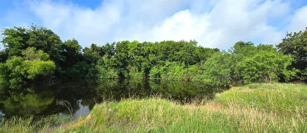 Tbd George Wachel Road Bremond, TX 76629 - Photo 5 of 8 a view of a garden