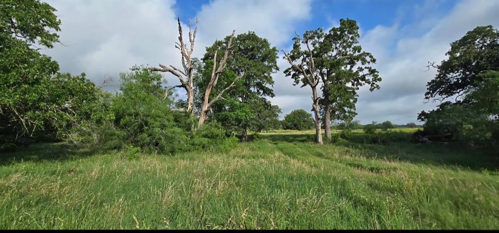 Tbd George Wachel Road Bremond, TX 76629 - Photo 7 of 8